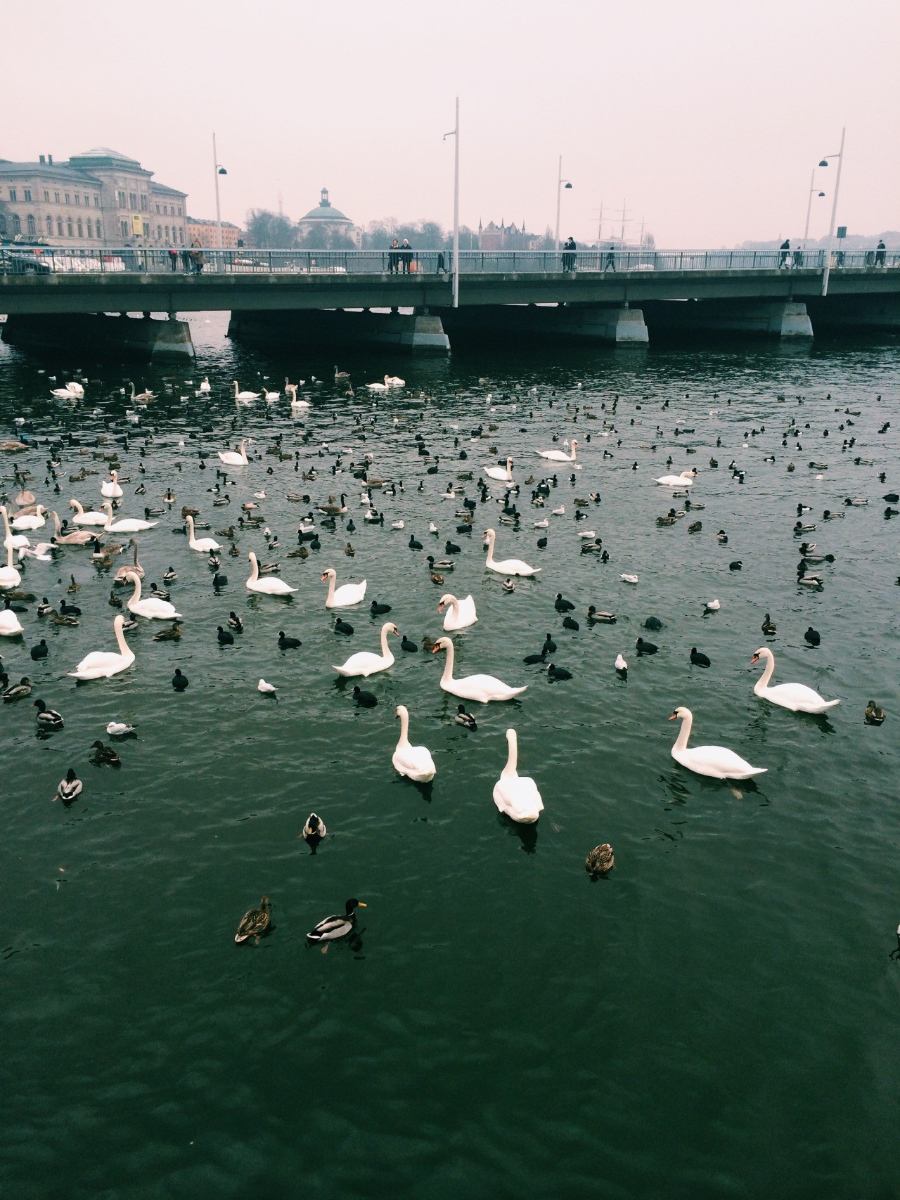 Walka nie jest skończona, dopóki nie wygrasz.