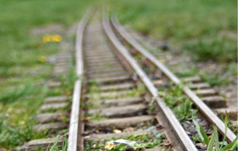 Zawsze widzimy tę najlepszą z dróg, wybieramy jednak tę, do …