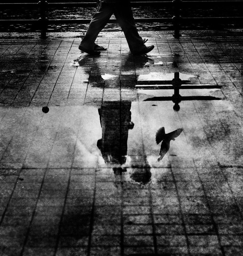 Prawdziwa mądrość zaczyna się, kiedy przestajesz cytować innych ludzi…