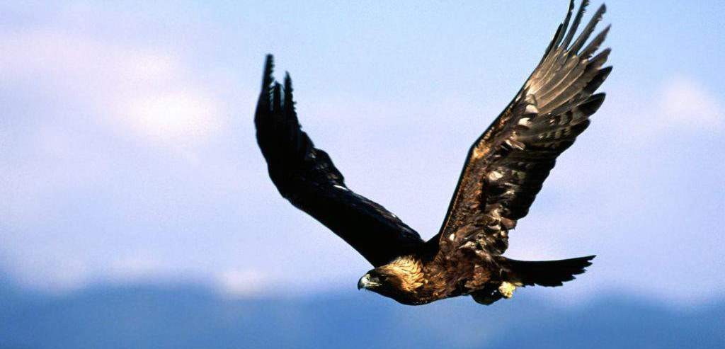 I to jest prawdziwe przesłanie wolności: mieć najważniejszą rzecz na …