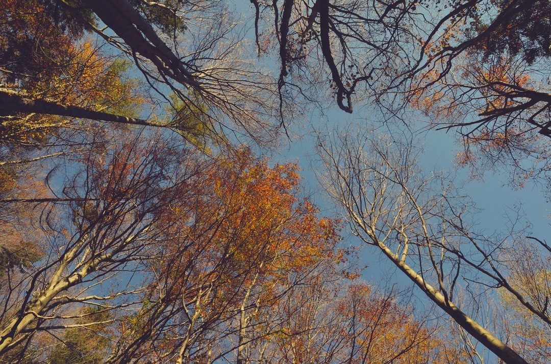 Trzeba brać to, czego się pragnie. Zapłacić cenę i nie …