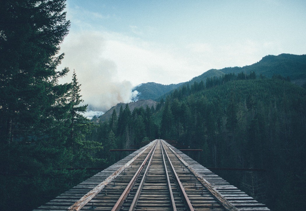Nie ma ryby bez ości i człowieka bez wad.