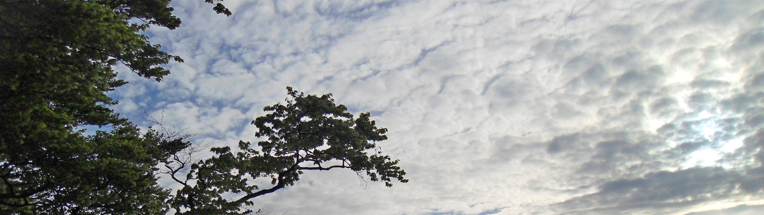 Boimy się tego , czego nie znamy.