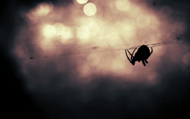 Poeta to taki, co umie władny sposób być nieszczęśliwy.