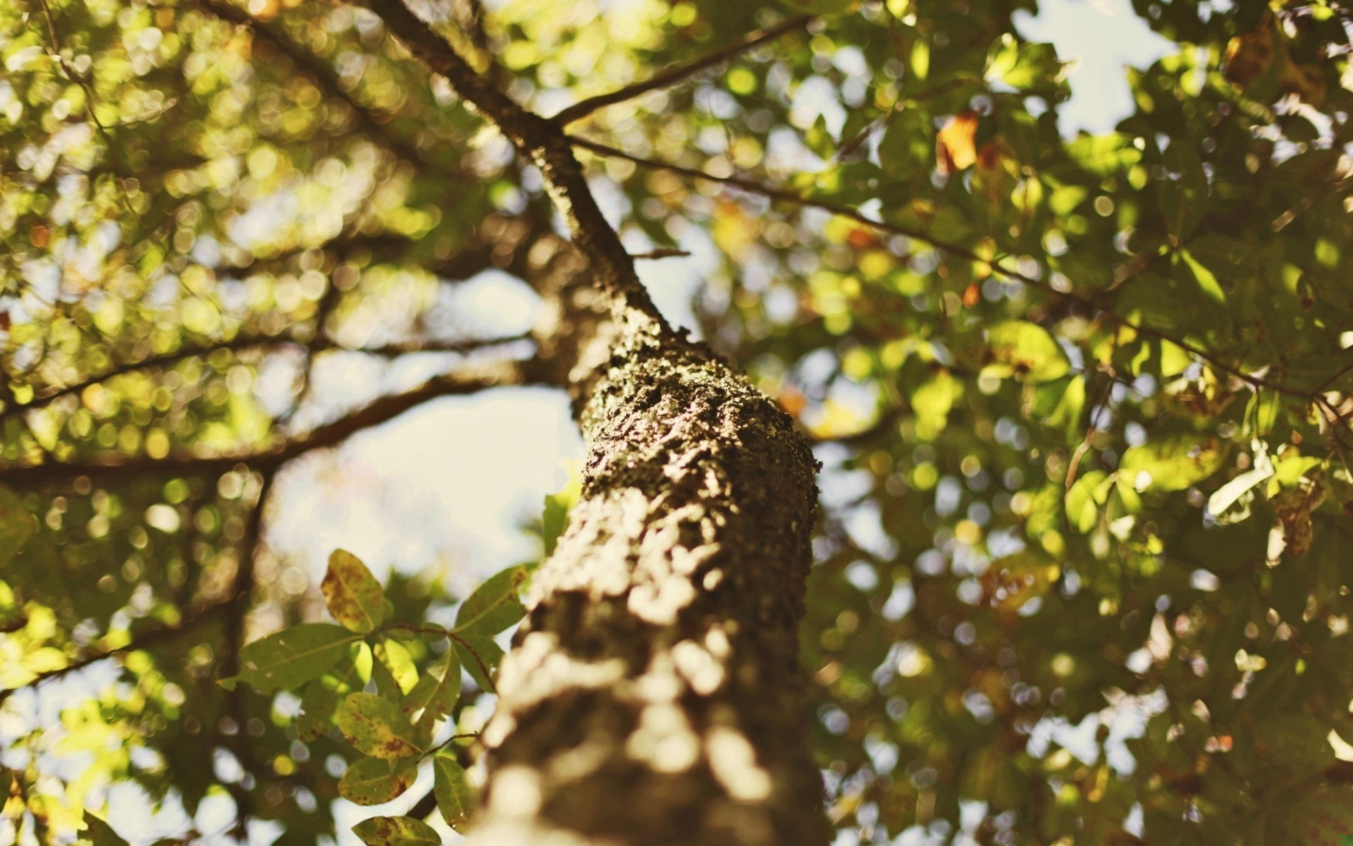 Niebo samo nie spadnie. Trzeba je osiągnąć. I Pan Bóg …