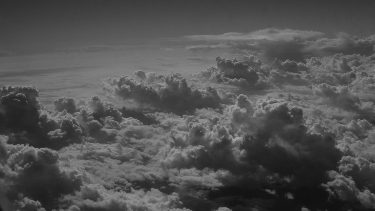 Peter zawsze uprawiał ból, sadził go, żywił i pochłaniał łakomie, …