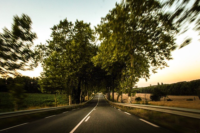 I choć naprawdę nigdy ze sobą nie rozmawiali, zawsze dokładnie …