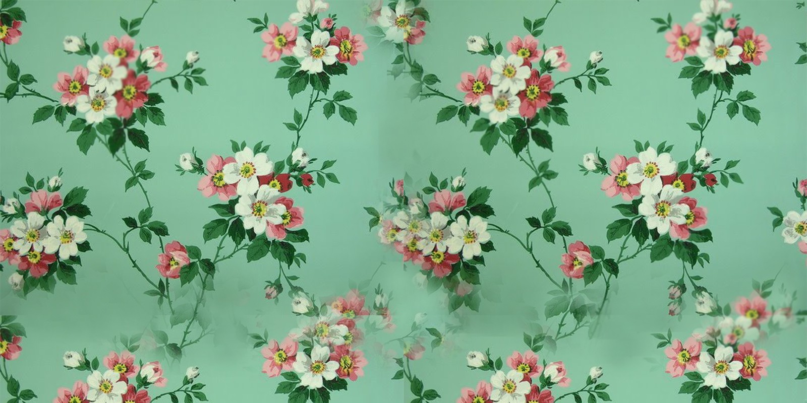 Fajnie być największą szajbuską, wśród szajbusów