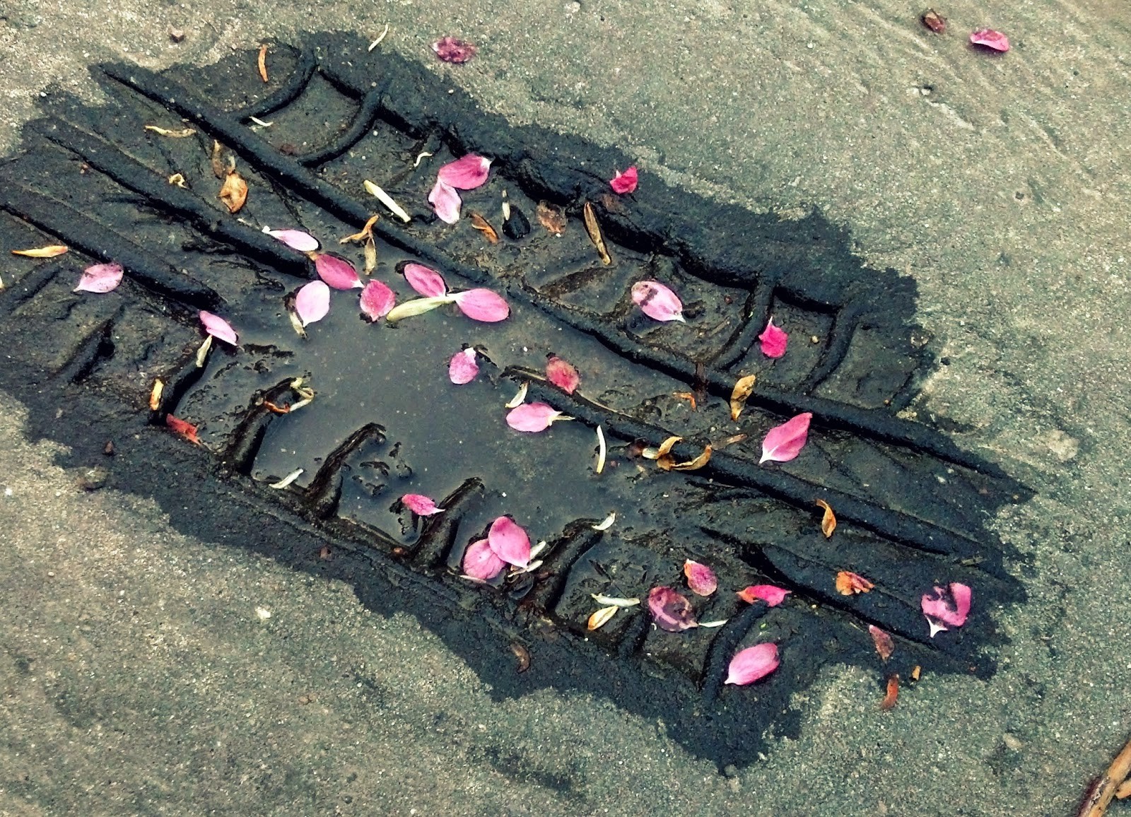 Popełniam kolejną zbrodnię. -czekam na Ciebie.