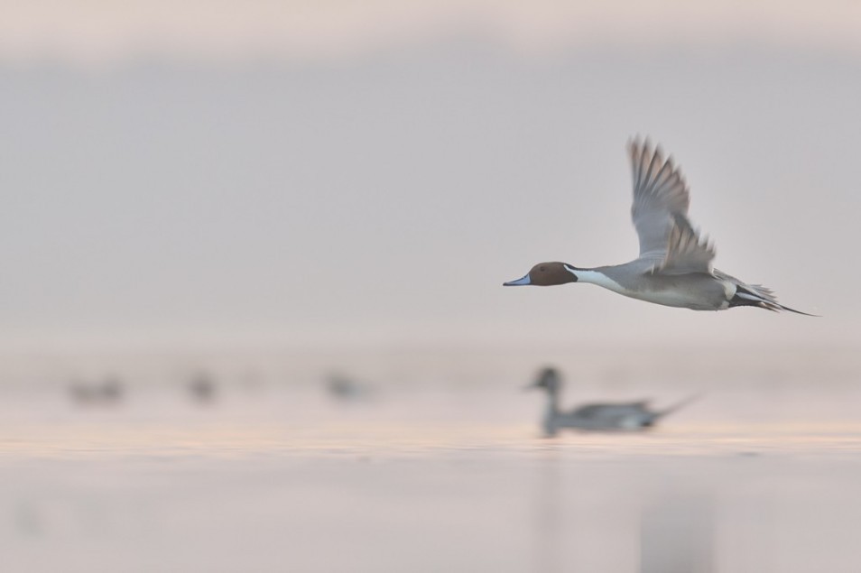 (…) otoczka zwyczajnego życia może skrywać największy koszmar.