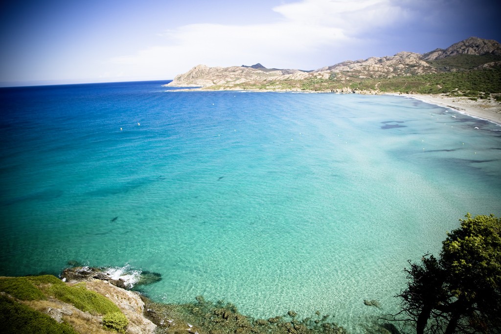 Nic tak nie sprzyja mądrej i rzeczowej dyskusji, jak atmosfera …