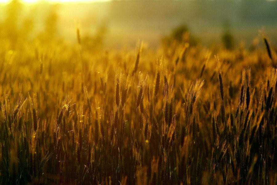 Lepiej nigdy nikomu nic nie opowiadajcie. Bo jak opowiecie – …