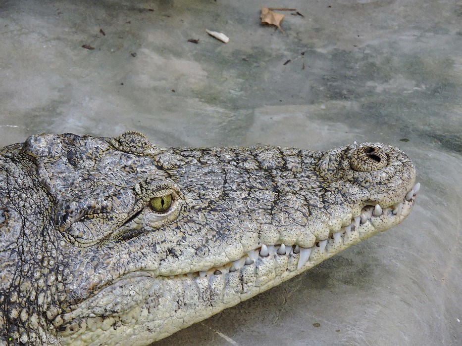 Nie można ciągle dostawać od życia, niczego w zamian nie …
