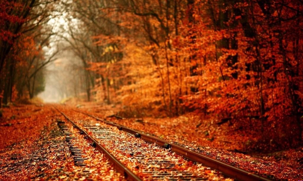 O, z tego „Nie ma nadziei” ile masz nadziei! Taki …