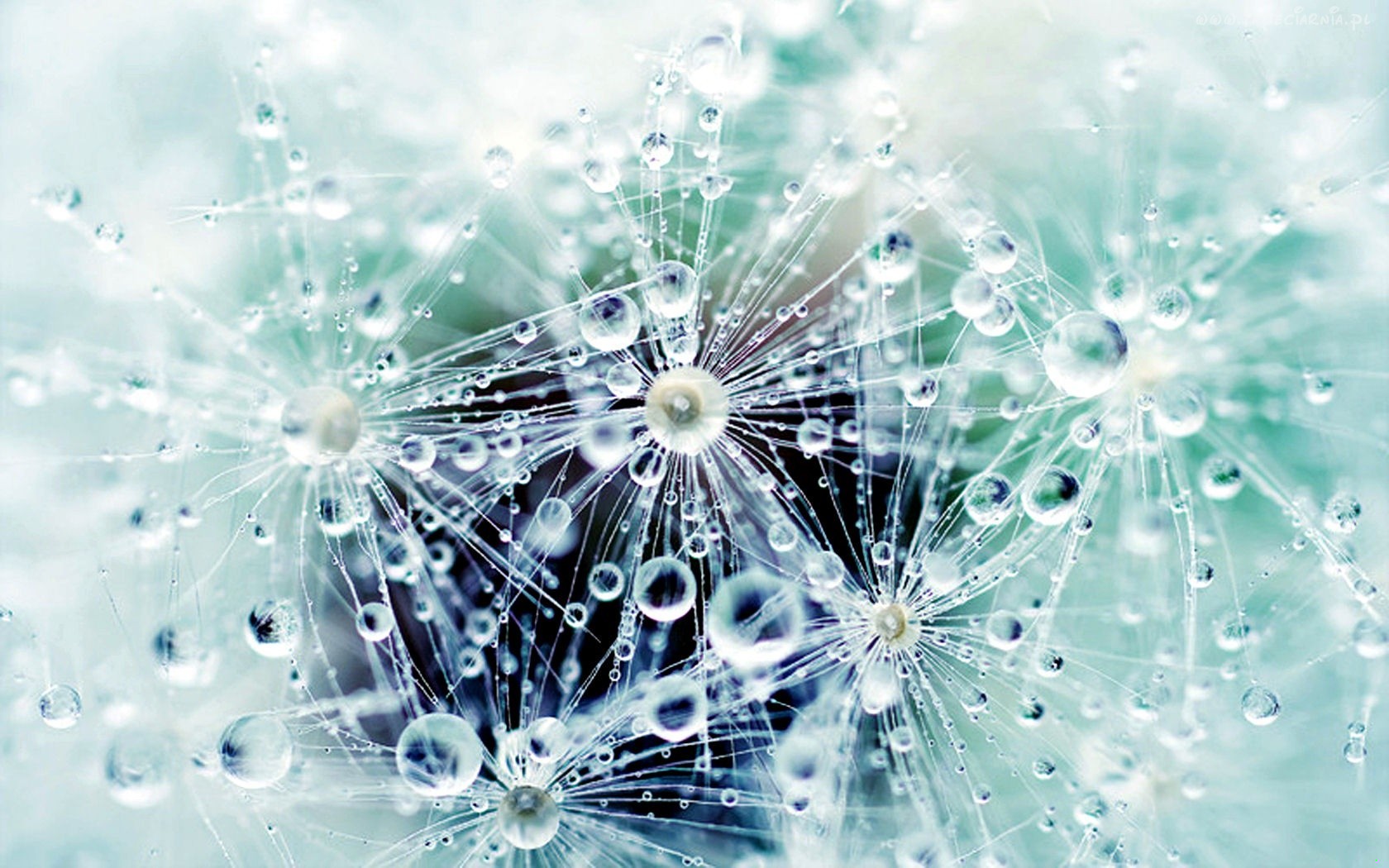 Nie od samego początku Jest koniec widoczny.