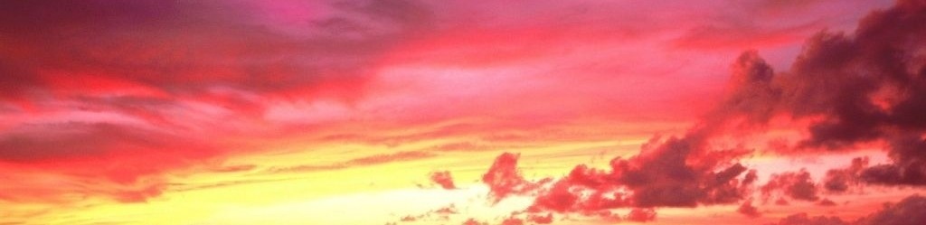 Lepiej jednak skończyć nawet w pięknym szaleństwie niż w szarej, …