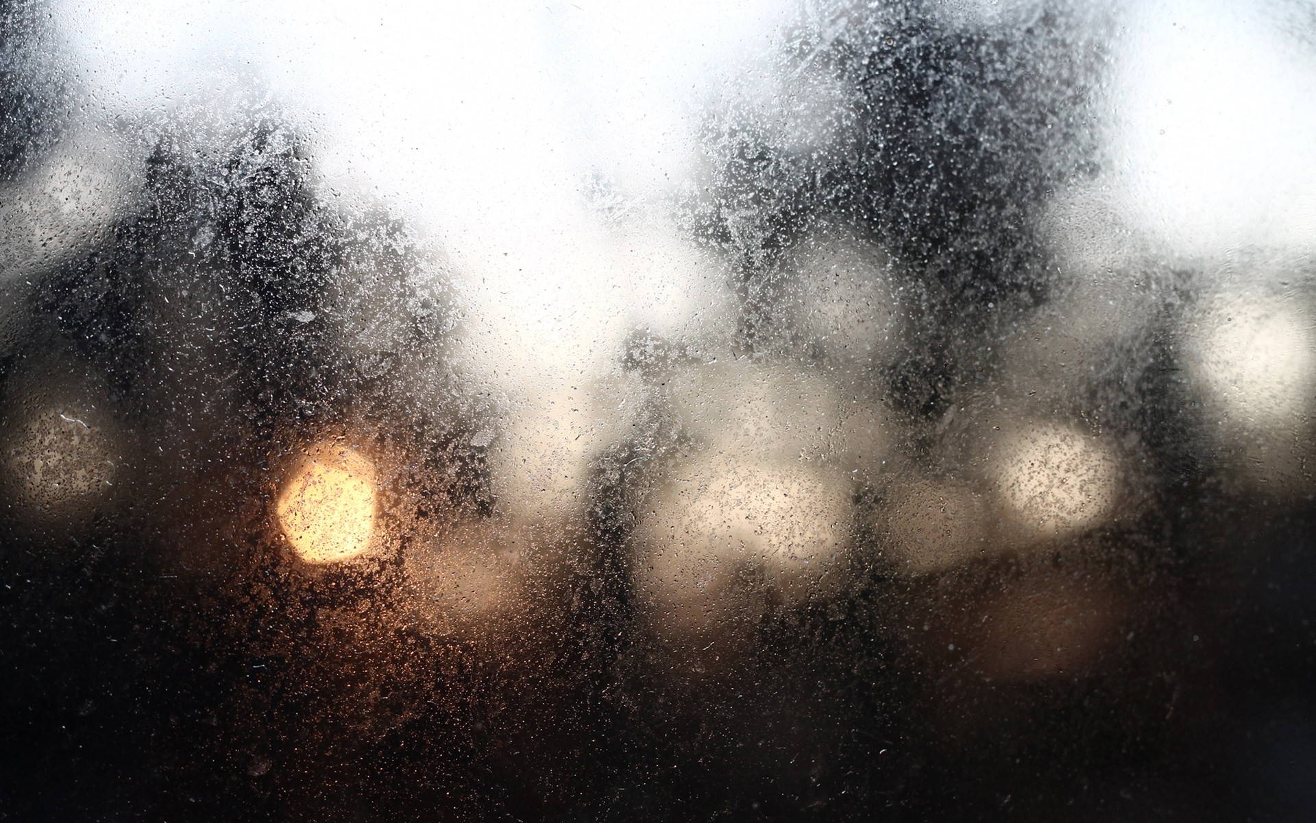 Rzeczywistość to jest coś, co nie znika, kiedy przestaje się …