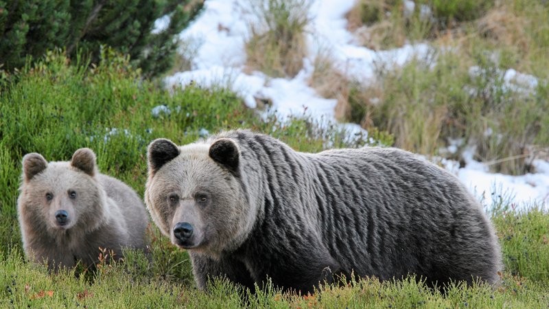 Pewne rzeczy dzieją się niezależnie od nas.
