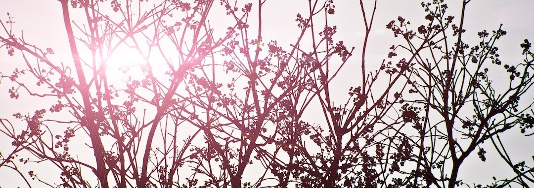 Jeśli uważasz, że Twoje miejsce jest na dnie, to bierz …