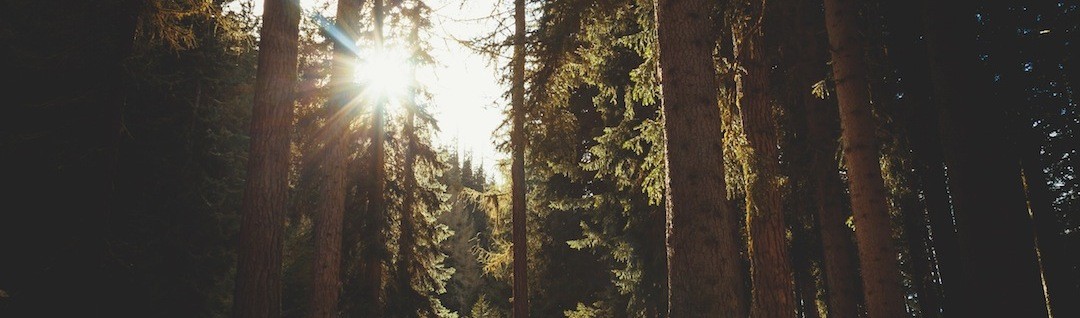 Cień jest dowodem na to, że istnieje światło. Nie zawsze …