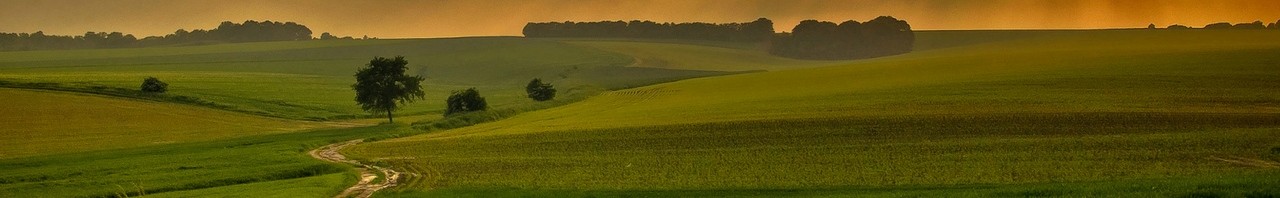 Jak cię złapią, to znaczy, że oszukiwałeś. Jak nie, to …