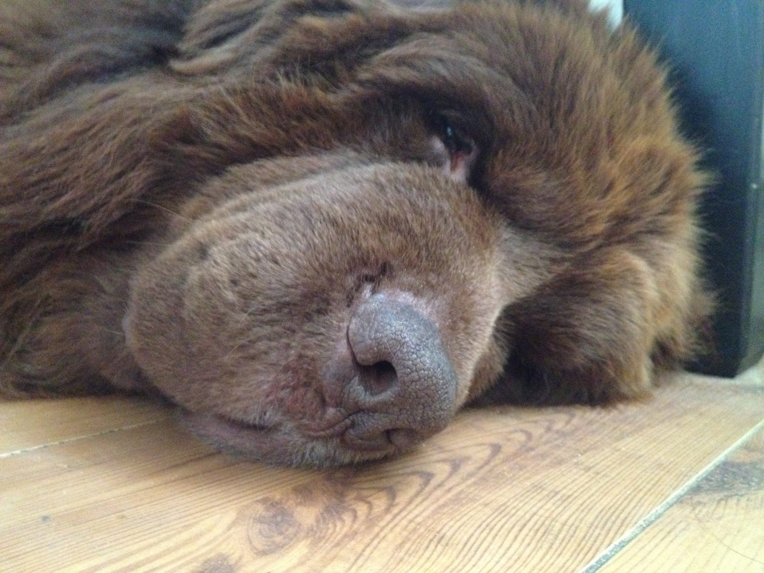 Mierzę czas według tego, kiedy jestem z Tobą albo ostatnio …