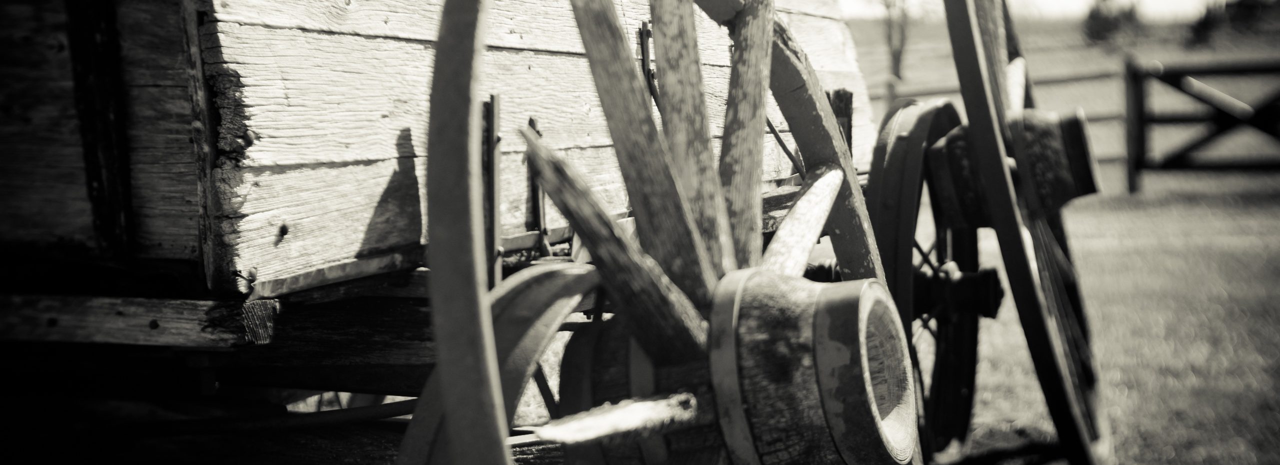 Wszystko, co warte zachodu jest przerażające.