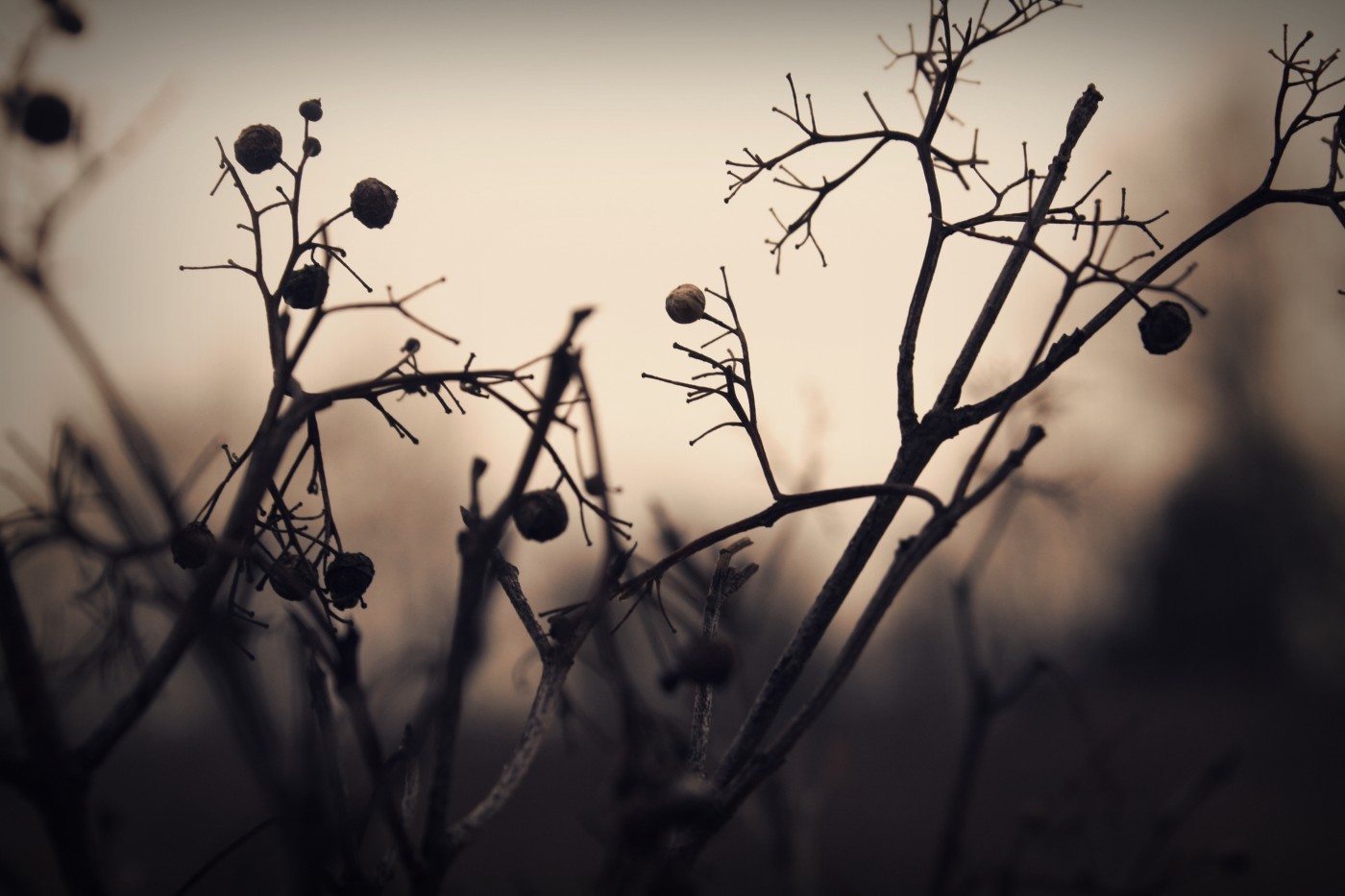 Wspomnienia są gorsze niż kule.