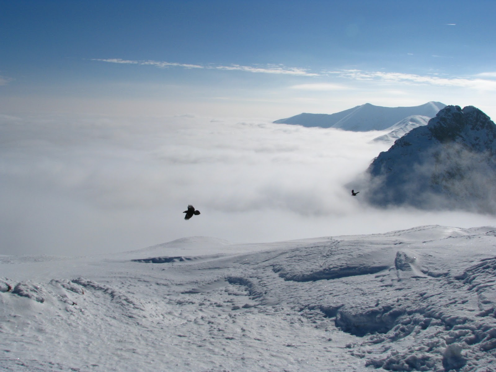Jest coś więcej niż świat do zdobycia.