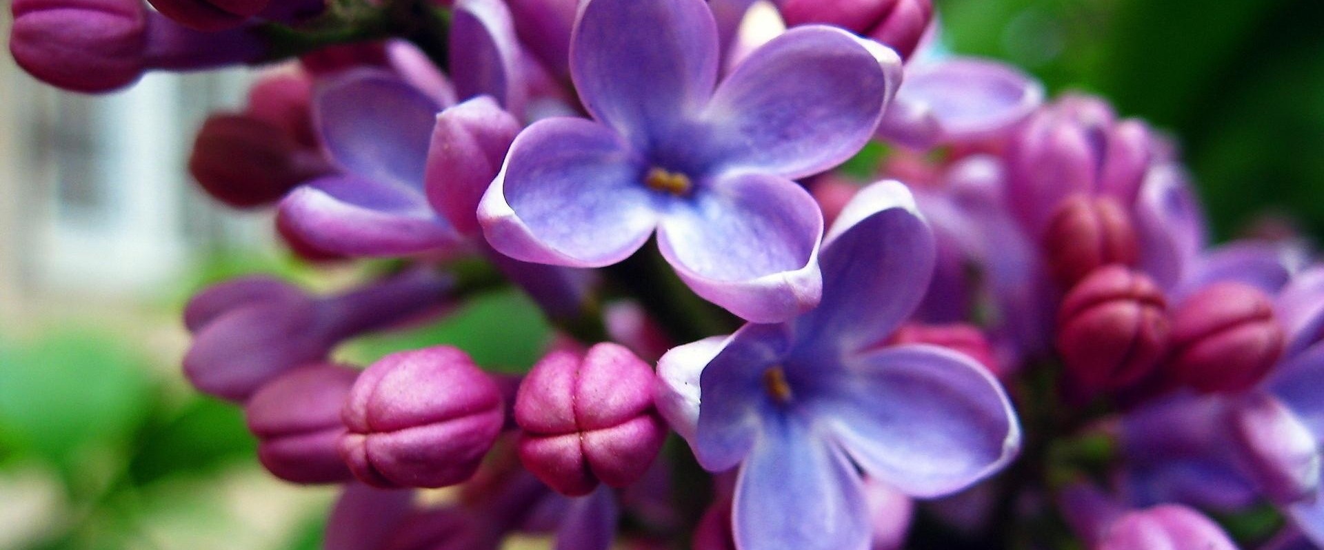 Już myślałem, że nigdy nie przestanie działać i będę musiał …