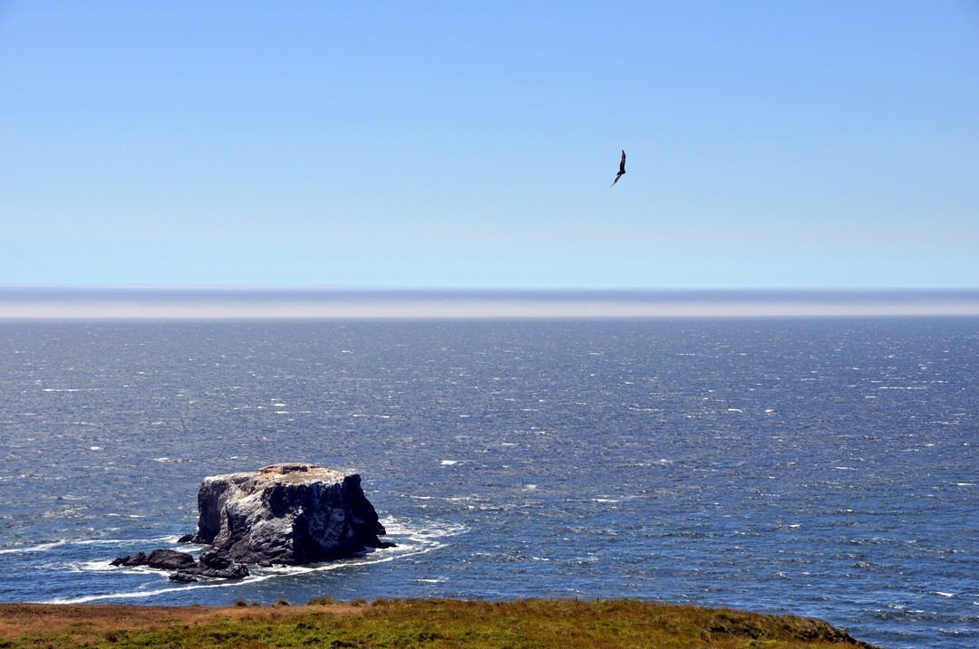 Tajemnice trzeba rozwiązywać, zobaczywszy, co jest w środku.