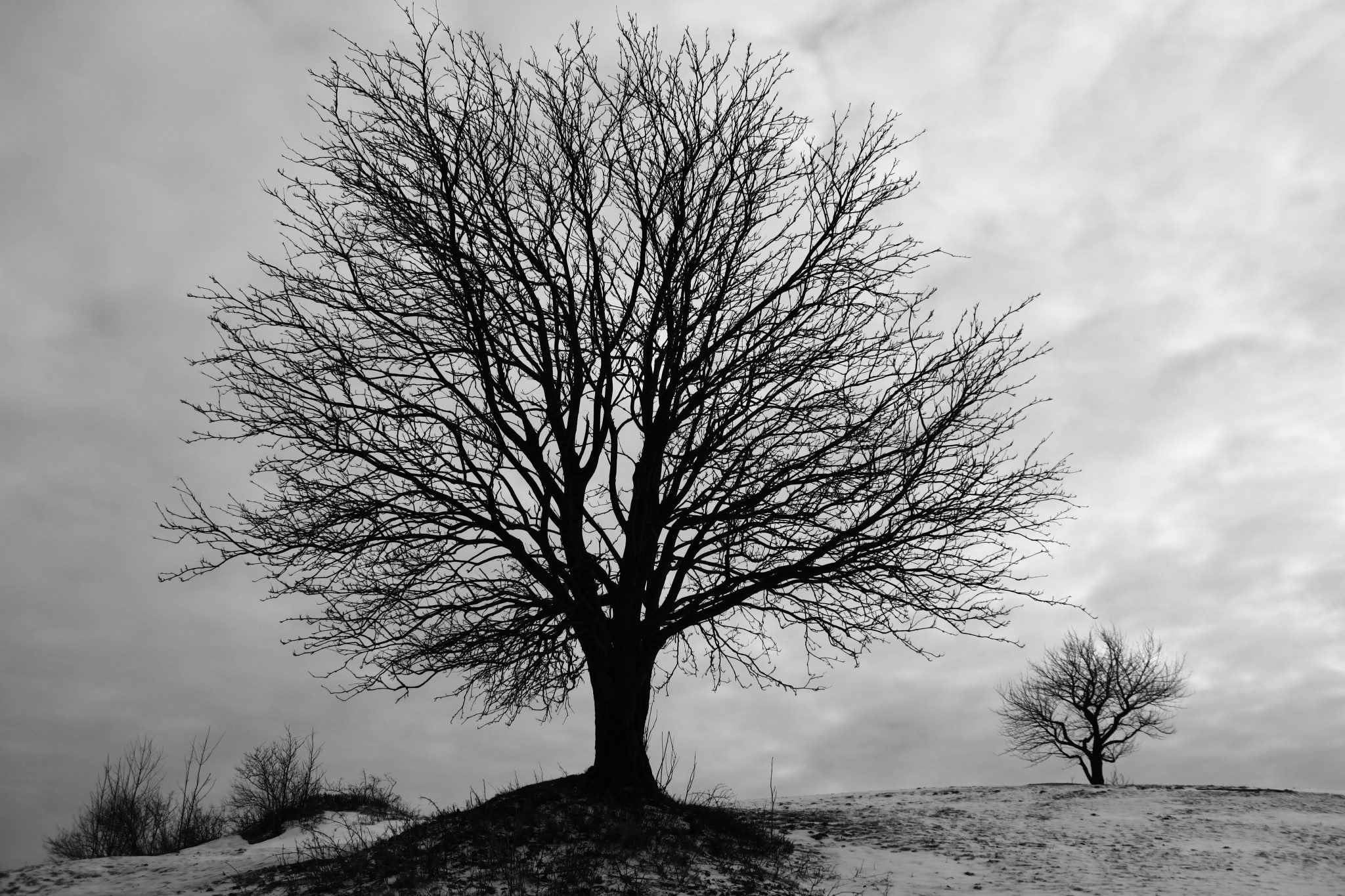 Świat to potwór zębaty, gotów gryźć, gdy tylko zechce.