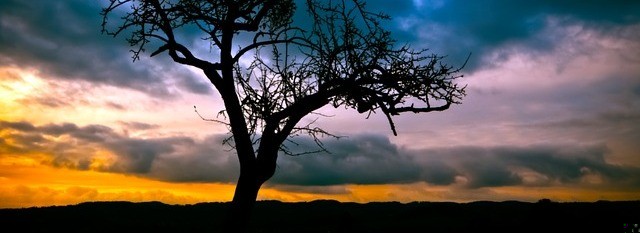 Dwa serca, jedno bicie, niech mnie odnajdzie miłość na całe …