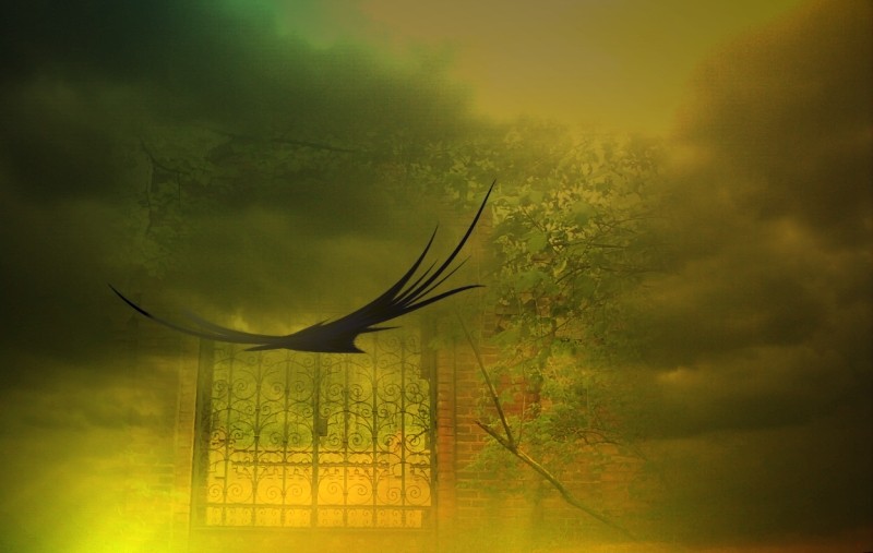 – Z kim pan rozmawia? – Nie rozmawiam. Monologuję. Przywilej …