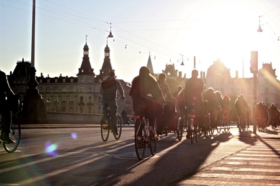 Kto ma rozum, nie potrzebuje szczęścia.