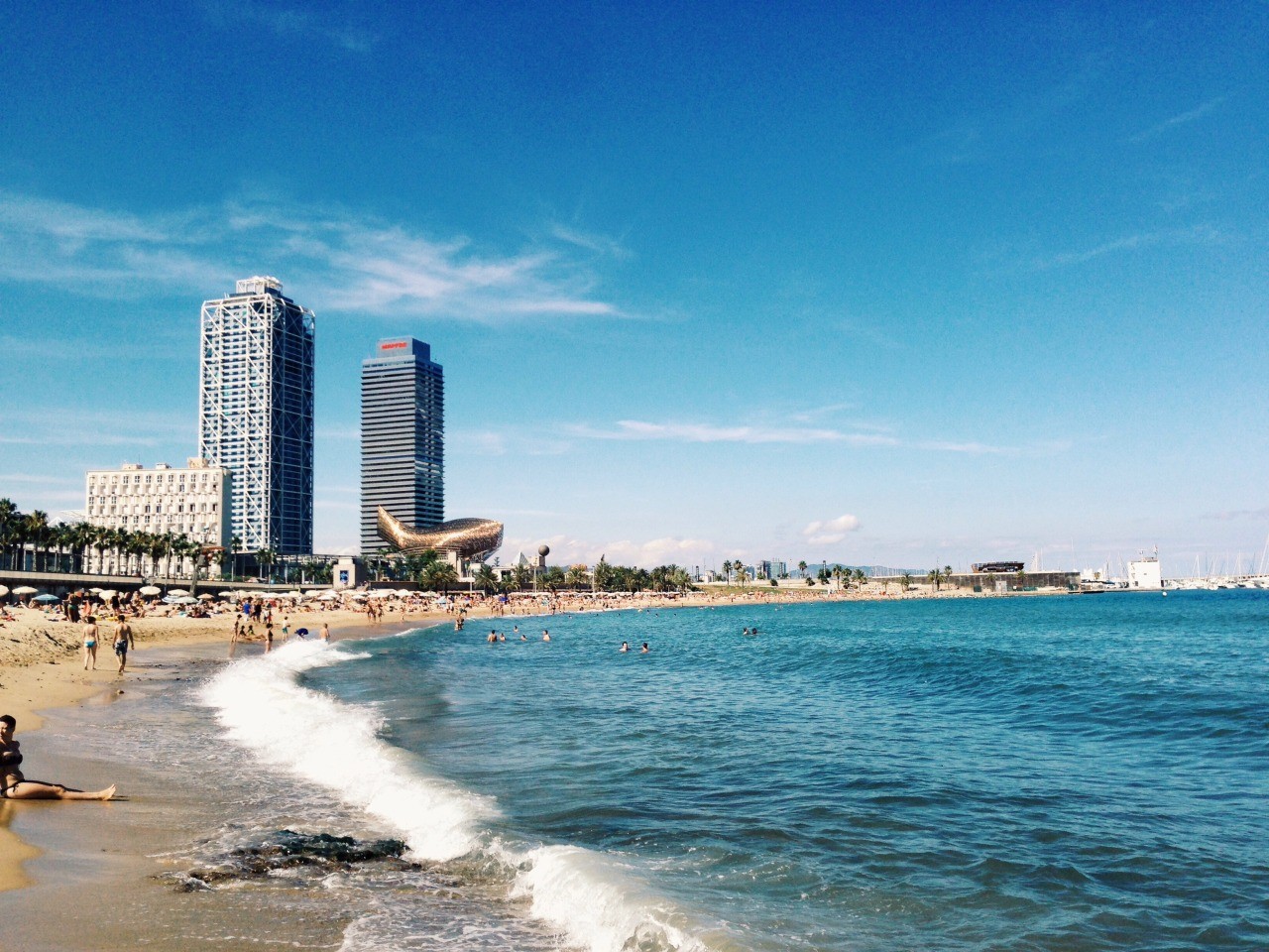 Niniejszym zapisuję się na kurs jako twój student. Naucz mnie, …
