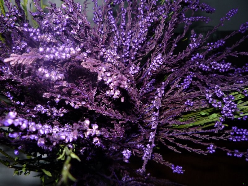 Zawsze cierpi się bardziej z powodu swoich bliskich niż z …