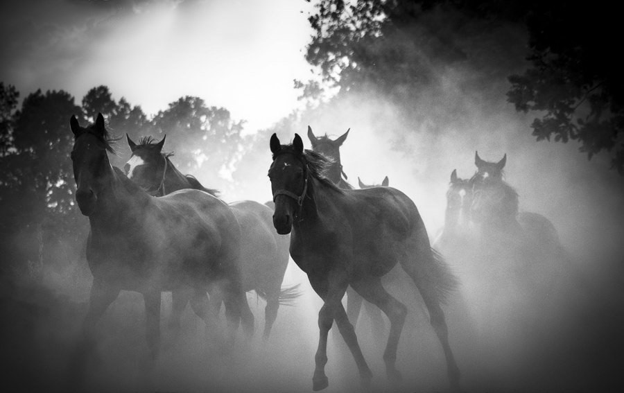 Dopóki człowiek nie odkryje czegoś, za co gotów jest umrzeć, …