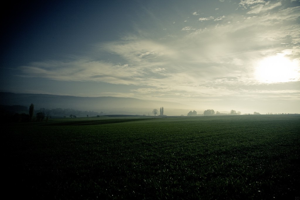 Bo jego niebo znajdowało się tam gdzie ona.