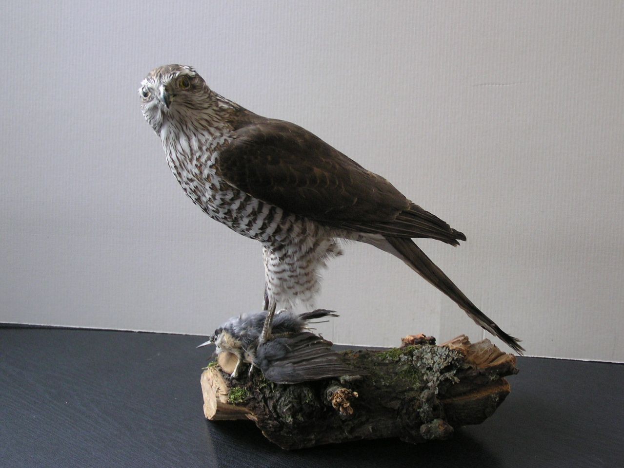 O pewnych rzeczach można zapomnieć, a o pewnych nie można …