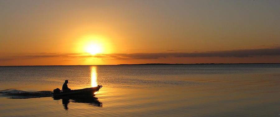 Być może dlatego tak cenimy ciszę i spokój: za ich …