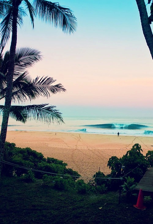 Ze śmiercią można żartować, ale nie z życiem. Niech żyje!