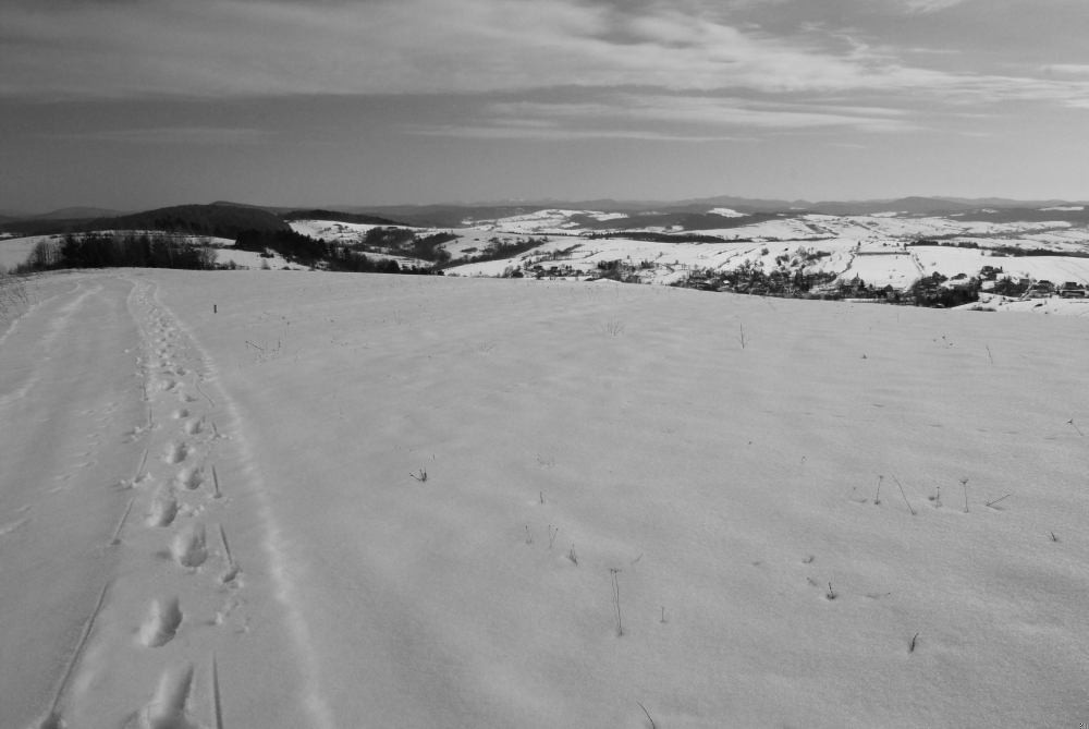 Człowiek to, co dobre, wynosi z domu, później już tylko …