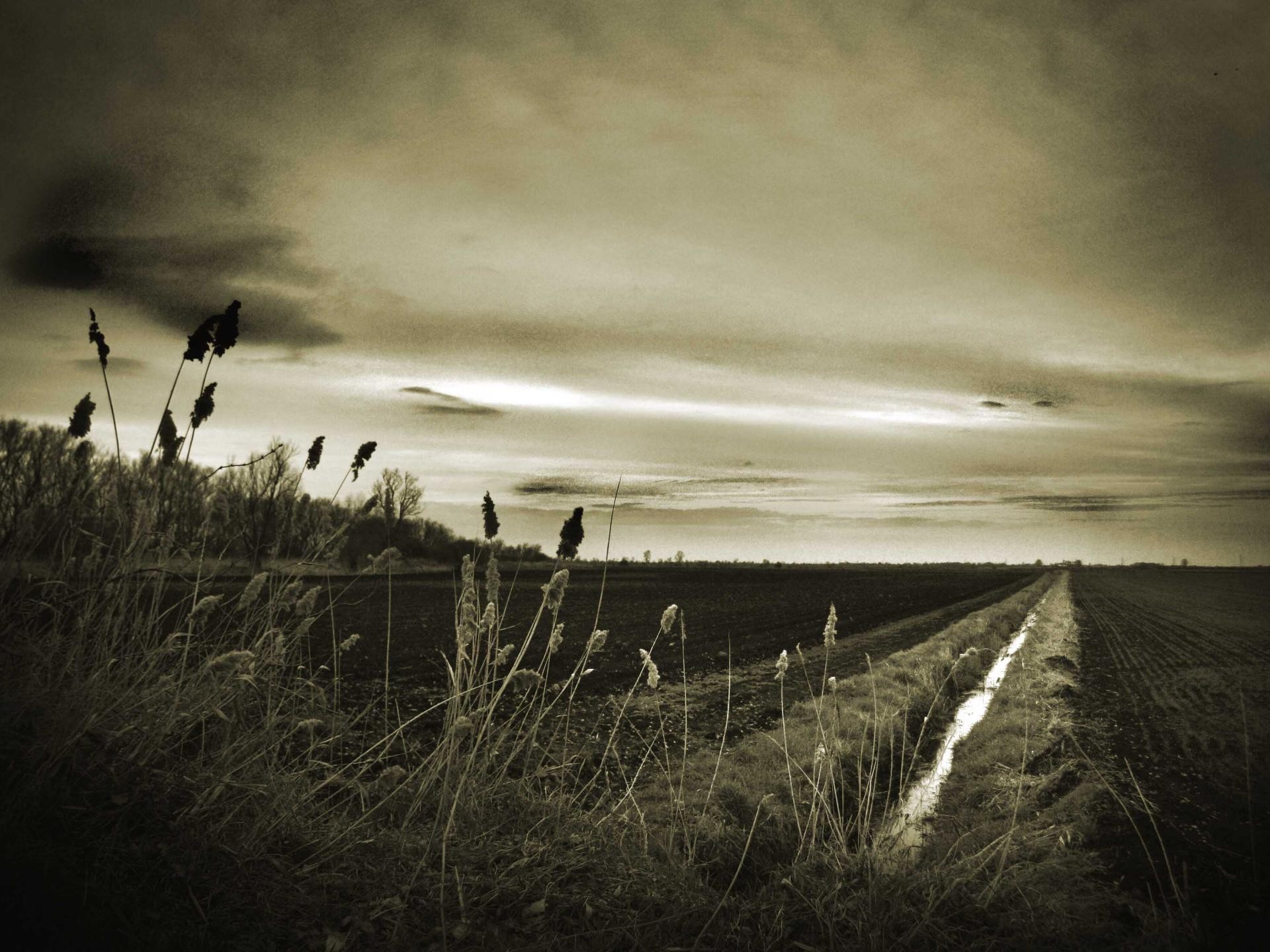 Nienawiść to miłość, która poszła złą drogą.