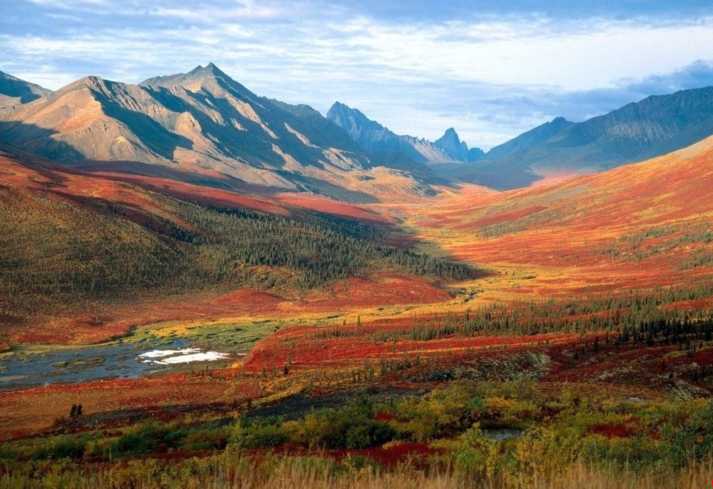 Zawsze będę strzegł twojego serca, nawet gdyby to oznaczało, że …