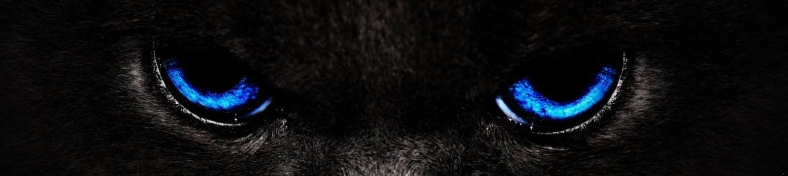 Rincewind spróbował zamknąć oczy, ale jego wyobraźnia nie miała powiek …