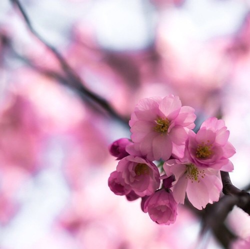 Uśmiech przeskakiwał jak maleńka pchełka z twarzy na twarz.