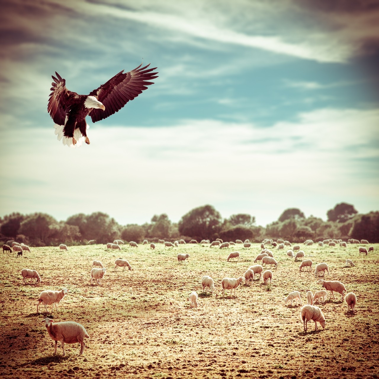 Ból nie znika. Gromadzi się. Jak śnieg. A przebaczenie to …