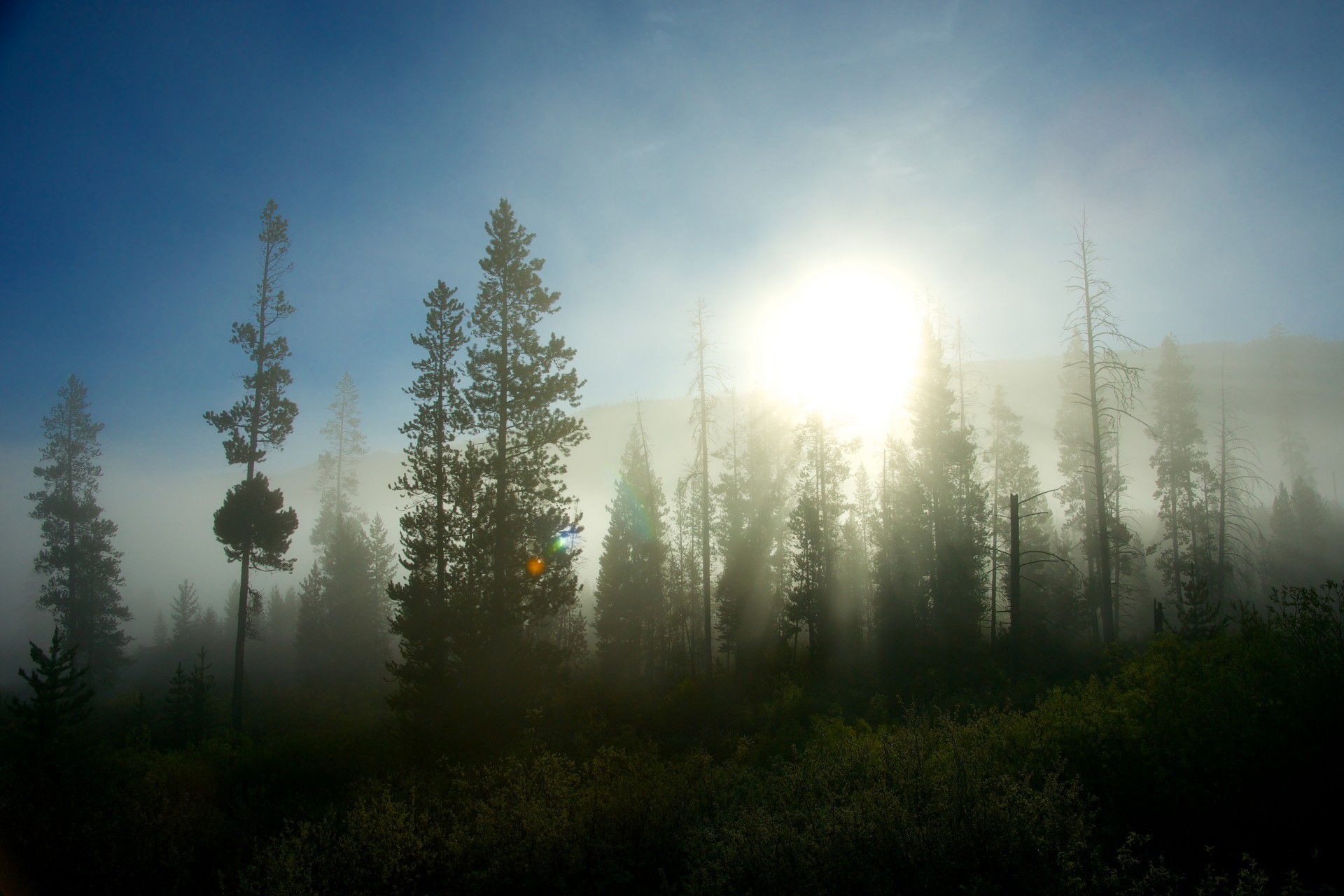 Uciec, mianowicie, trzeba dokądś. Gdziekolwiek to jest.