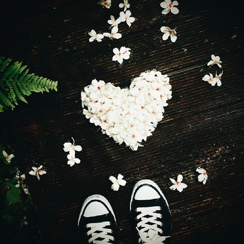 Bo kiedy ból nas przerasta, kiedy nadzieja gaśnie, szaleństwo jest …